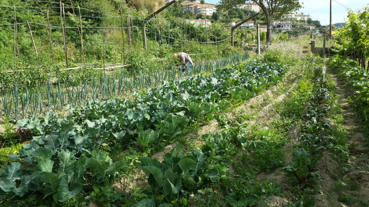 Farm stay Agua E Agricultura Biologica Couto