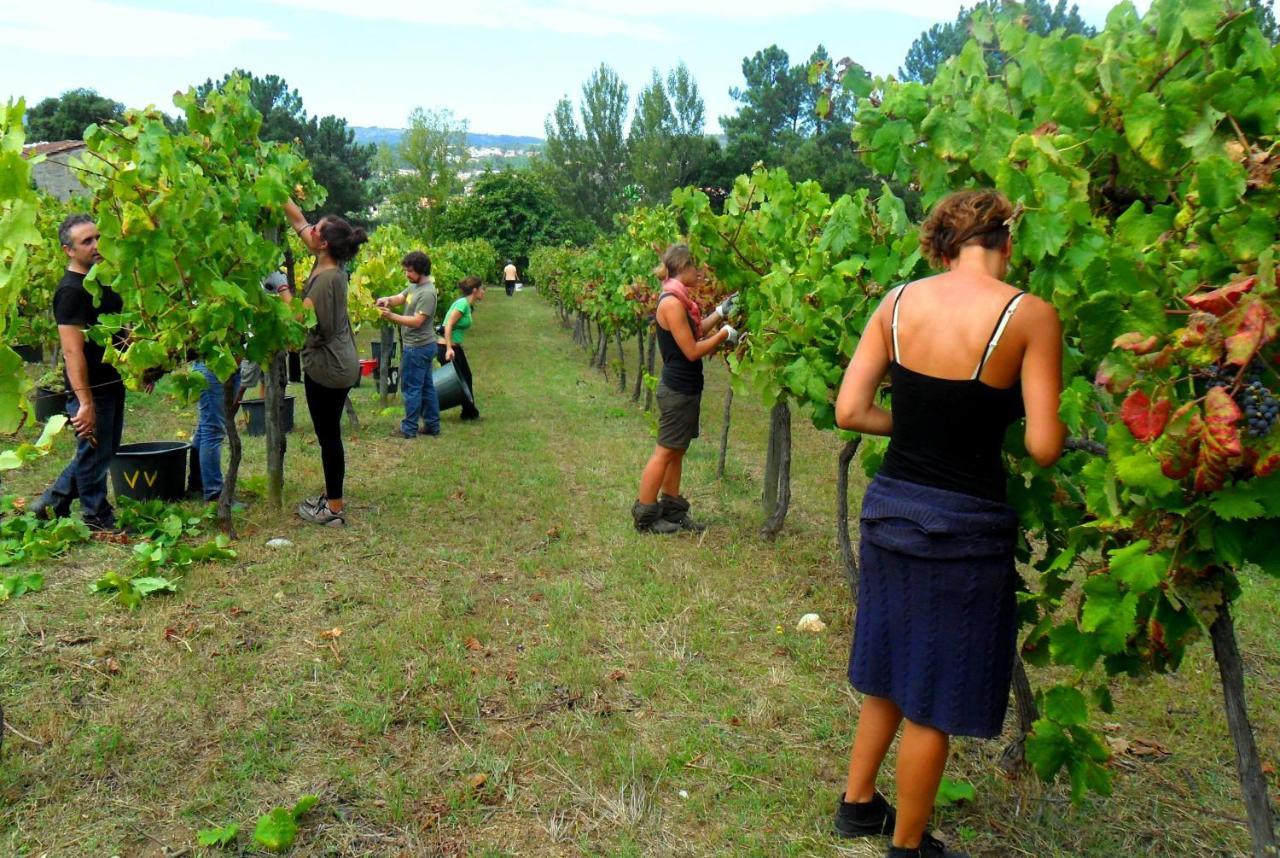 água E Agricultura Biológica * Couto