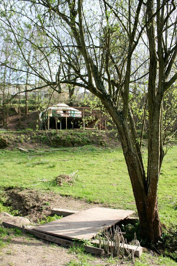 água E Agricultura Biológica