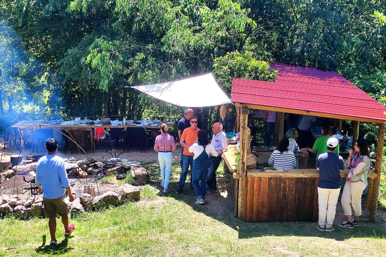 água E Agricultura Biológica * Couto